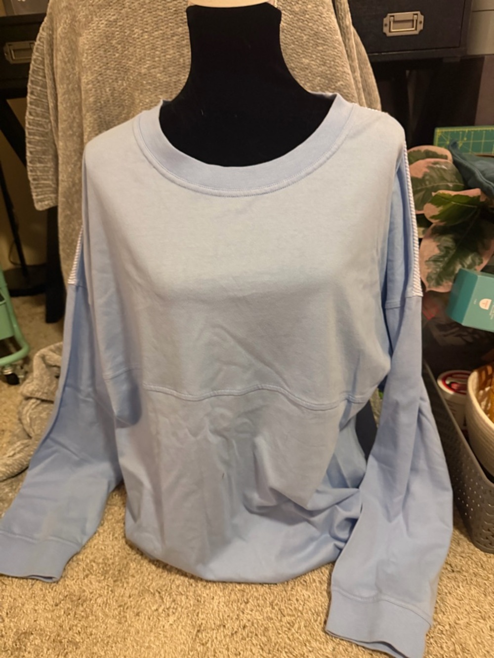Light Blue Women's Crewneck Sweatshirt